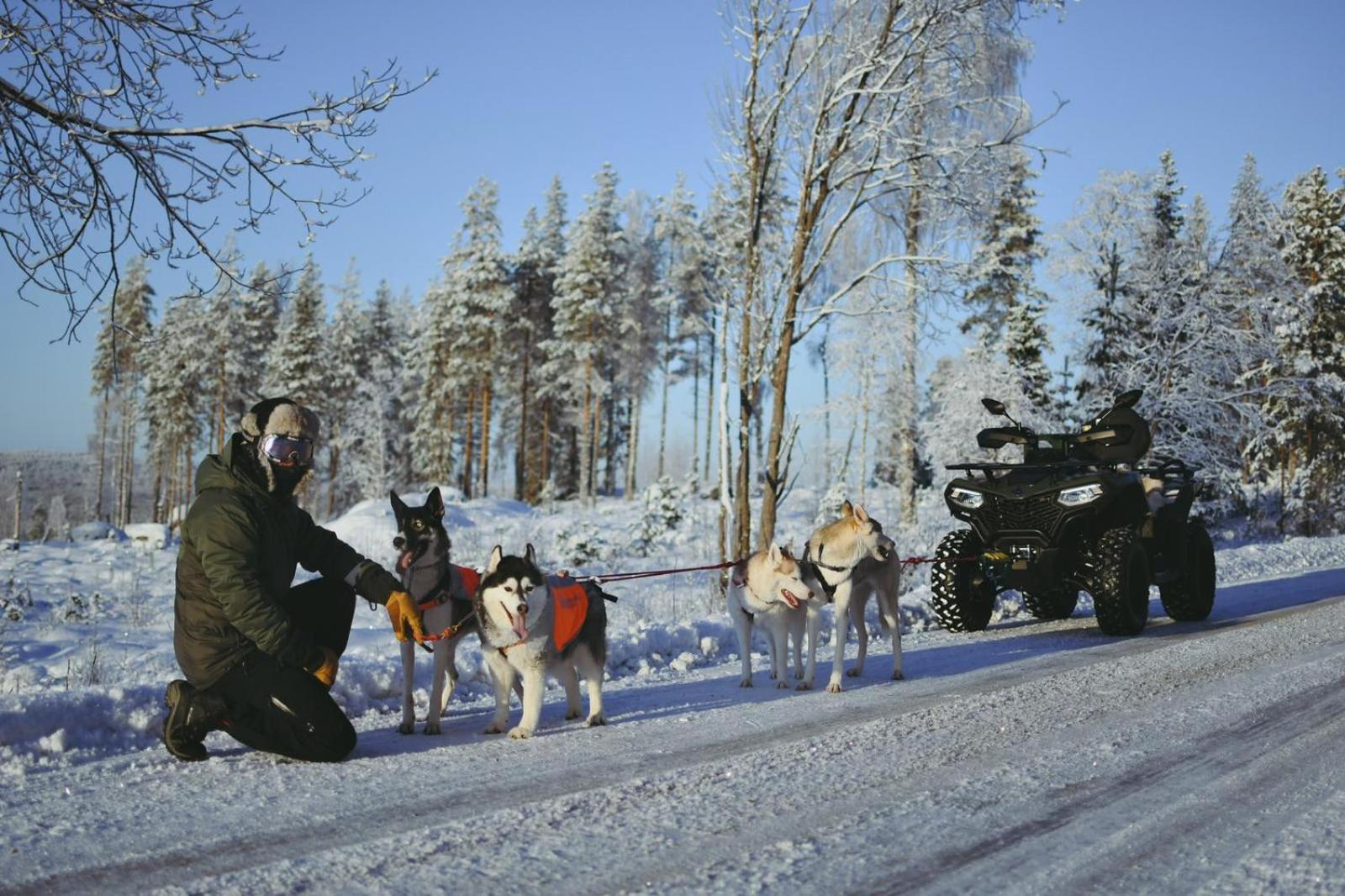 Arctic Ranch Villa Överkalix Buitenkant foto